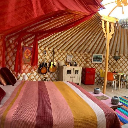 Overnachten In Een Luxe Yurt! Zonnemaire Exterior foto
